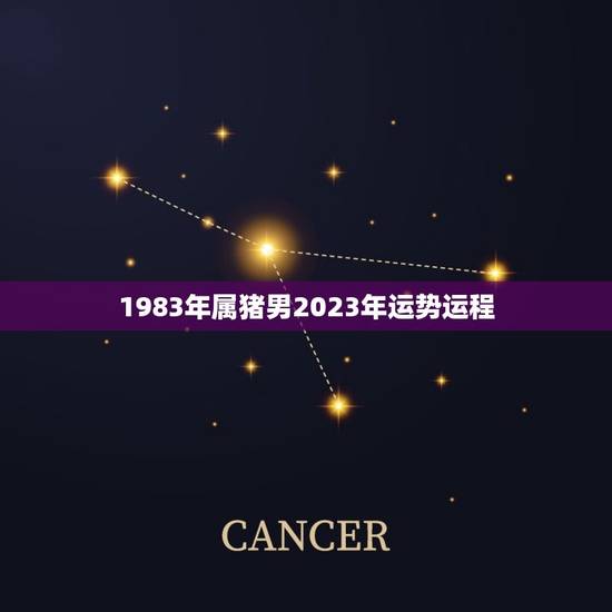 1983年属猪男2023年运势运程