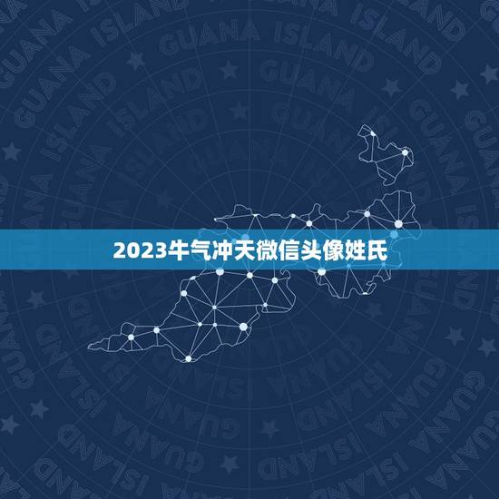 2023牛气冲天微信头像姓氏，微信头像有什么讲究