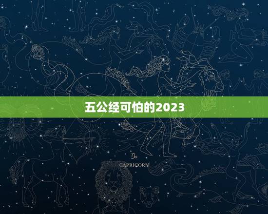 五公经可怕的2023