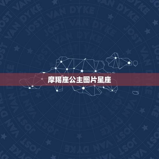 摩羯座公主图片星座，十二星座代表的怪