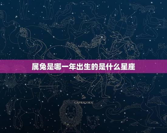属兔是哪一年出生的是什么星座(介绍属兔人的星座特点)