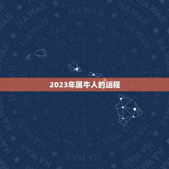 2023年属牛人的运程，属牛的2023年适合在上海做事吗