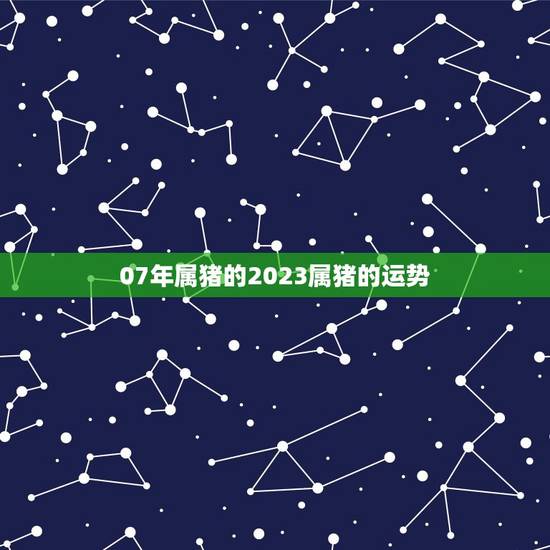 07年属猪的2023属猪的运势 07年属猪的2023属猪的运势