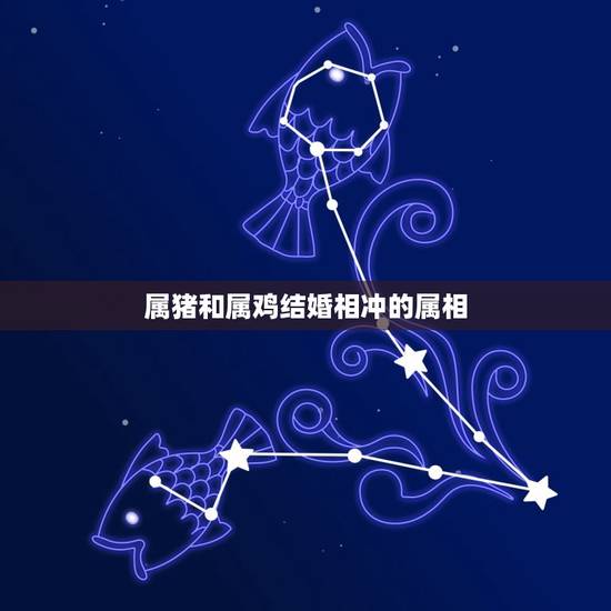 属猪和属鸡结婚相冲的属相，属猪的和属鸡怎么样和属什么的相冲，相害，相克