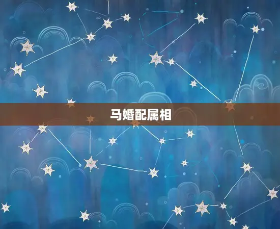 马婚配属相