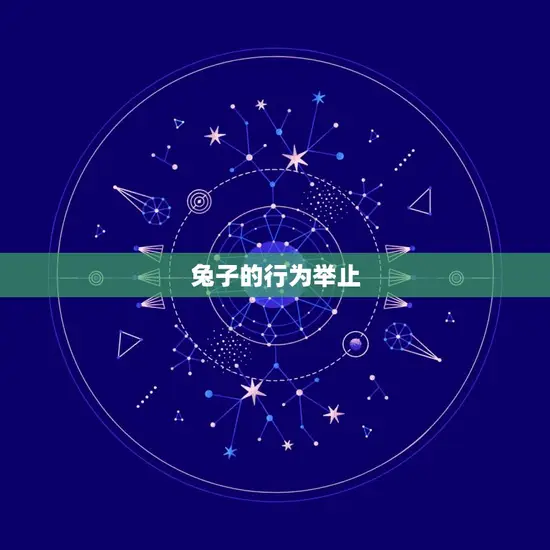 兔子的行为举止