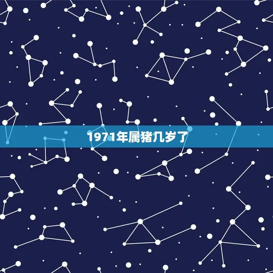 1971年属猪几岁了