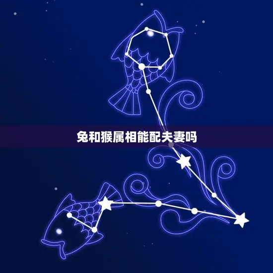 兔和猴属相能配夫妻吗