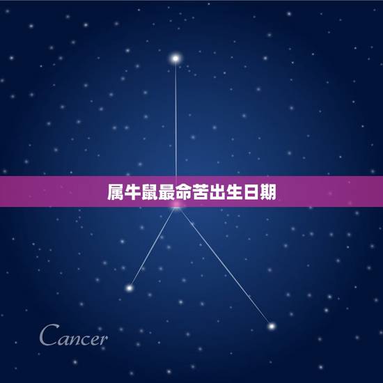 属牛鼠最命苦出生日期，看看是属牛还是鼠