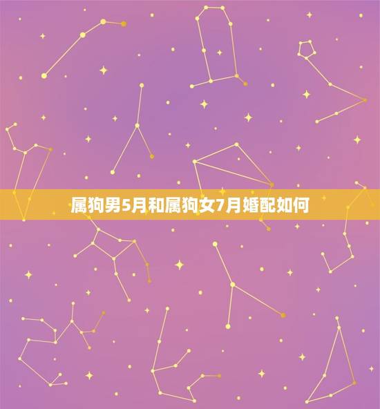 属狗男5月和属狗女7月婚配如何，83年2月10日属狗 男 与85年12