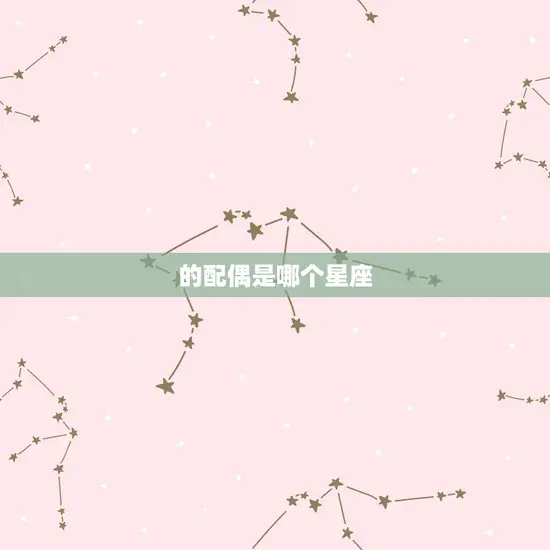 的配偶是哪个星座
