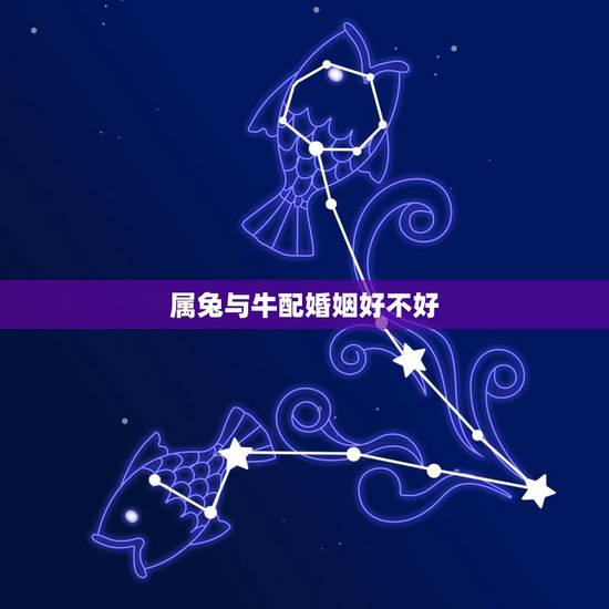 属兔与牛配婚姻好不好(讨论属相配对的)