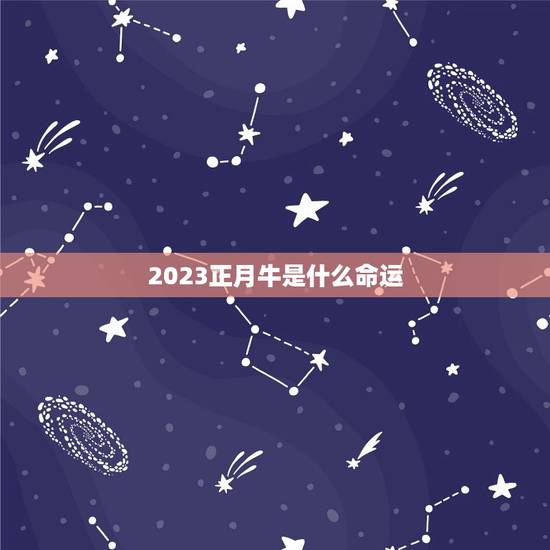 2023正月牛是什么命运，2023年属牛是什么命