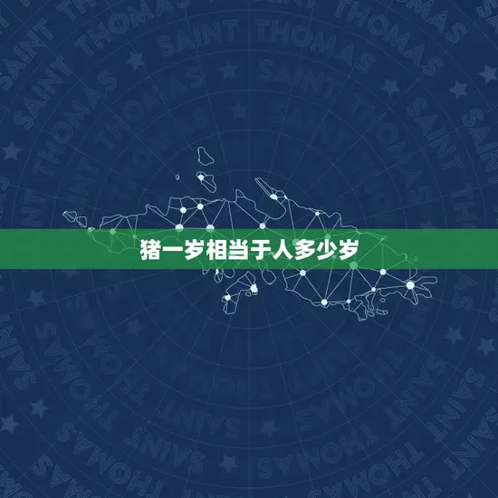 猪一岁相当于人多少岁