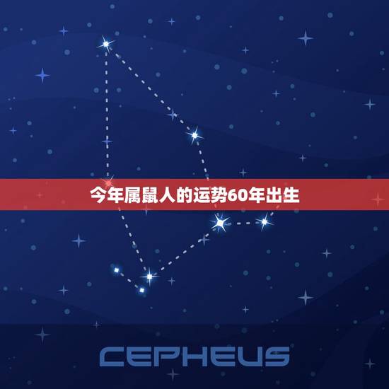 今年属鼠人的运势60年出生