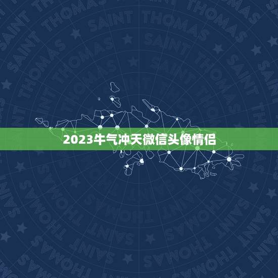2023牛气冲天微信头像情侣，微信头像怎么加2023