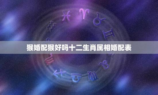 猴婚配猴好吗十二生肖属相婚配表,属猴的属相婚配表 猴婚配猴好吗十二生肖属相婚配表,属猴的属相婚配表