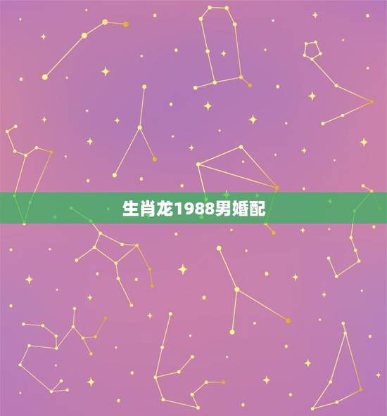 生肖龙1988男婚配，男1988属龙跟啥属相配