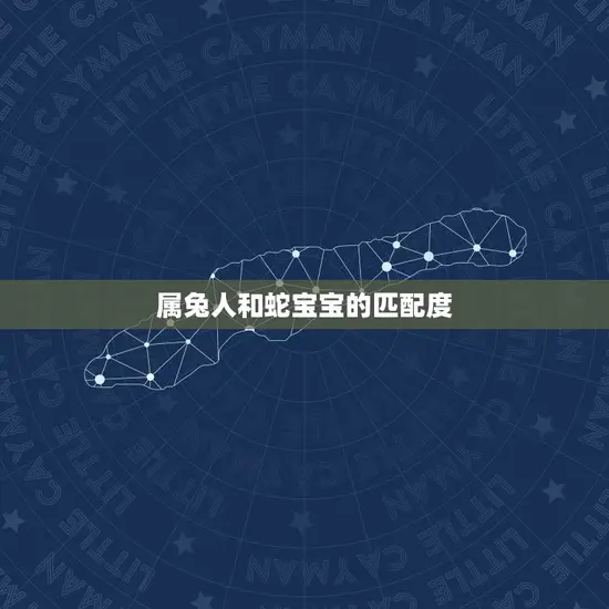 属兔人和蛇宝宝的匹配度