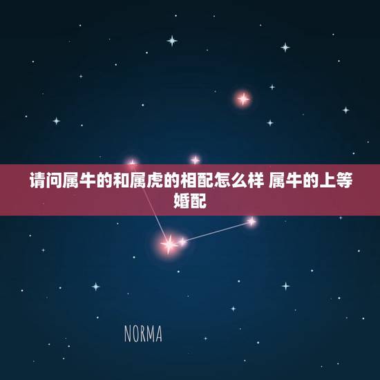 请问属牛的和属虎的相配怎么样 属牛的上等婚配 请问属牛的和属虎的相配怎么样 属牛的上等婚配