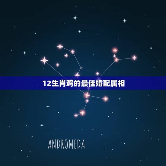 12生肖鸡的最佳婚配属相，属鸡和什么属相最好