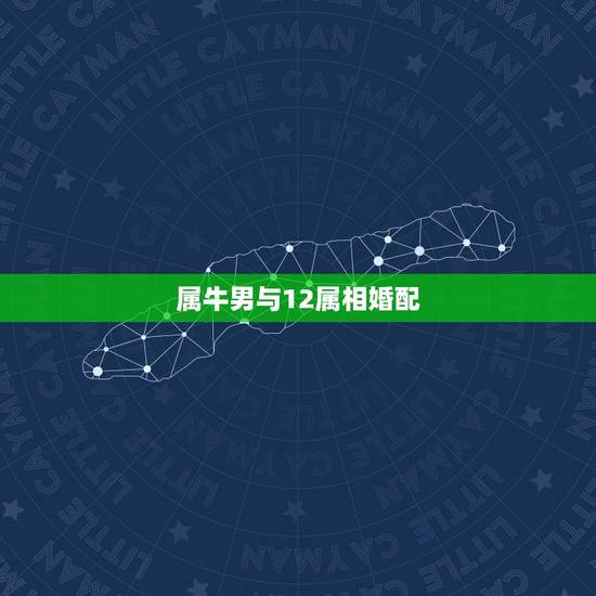 属牛男与12属相婚配,女方属龙 男方属牛 龙和牛相配合适吗? 属牛男与12属相婚配,女方属龙 男方属牛 龙和牛相配合适吗?