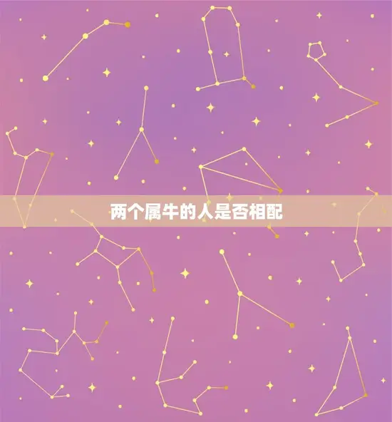 两个属牛的人是否相配
