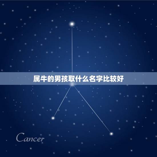 属牛的男孩取什么名字比较好，属牛的男孩起什么名好