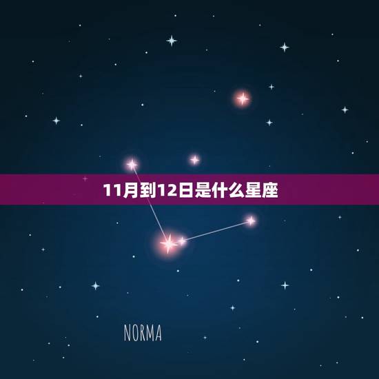 11月到12日是什么星座，12月24日星座
