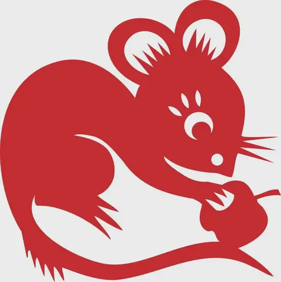 生肖鼠健康作息表