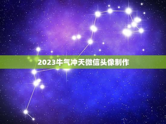 2023牛气冲天微信头像制作，73年本命年能用牛气冲天做微信头像吗？