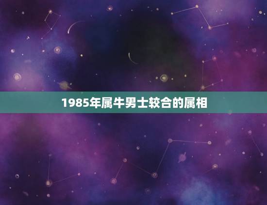 1985年属牛男士较合的属相，男属牛85年最佳配偶属相应该属什么
