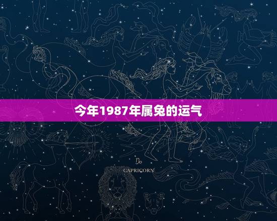 今年1987年属兔的运气