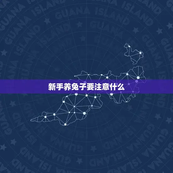 新手养兔子要注意什么 新手养兔子要注意什么