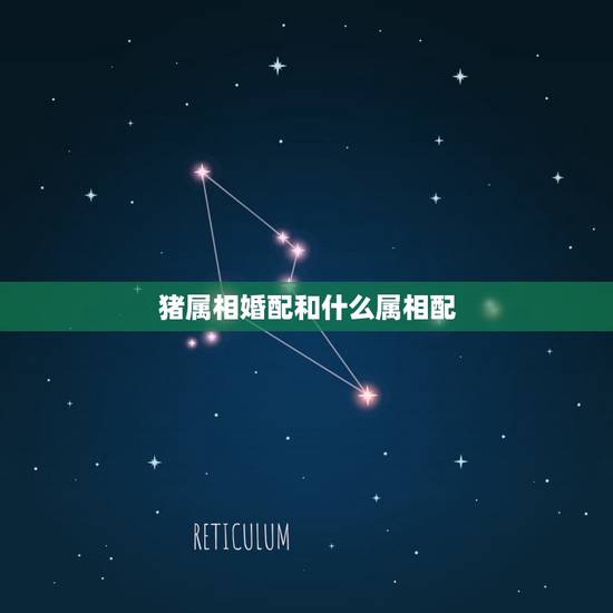 猪属相婚配和什么属相配，属猪的跟什么属相相配？