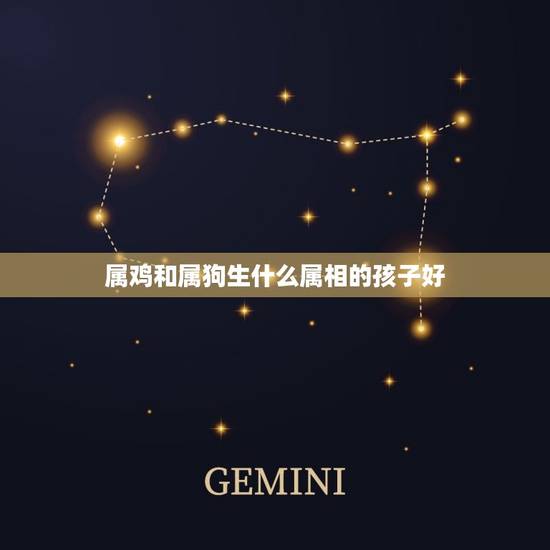 属鸡和属狗生什么属相的孩子好，我属鸡，我老公属狗，生什么属相的孩子好，