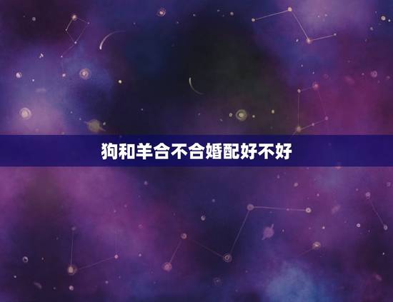 狗和羊合不合婚配好不好，狗和羊合不合