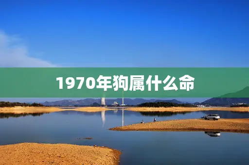 1970年狗属什么命