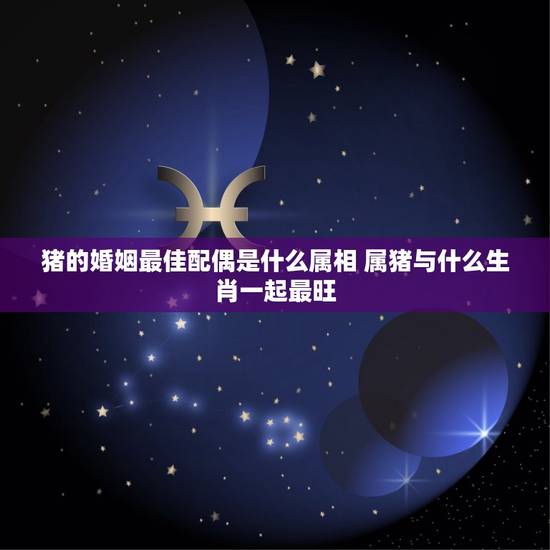 猪的婚姻最佳配偶是什么属相 属猪与什么生肖一起最旺