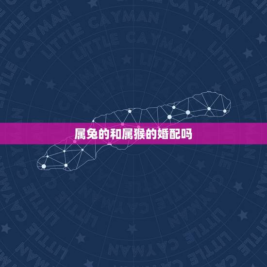 属兔的和属猴的婚配吗，属猴和属兔相配吗