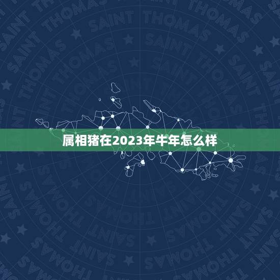 属相猪在2023年牛年怎么样，猪在牛年运势2023运势详解