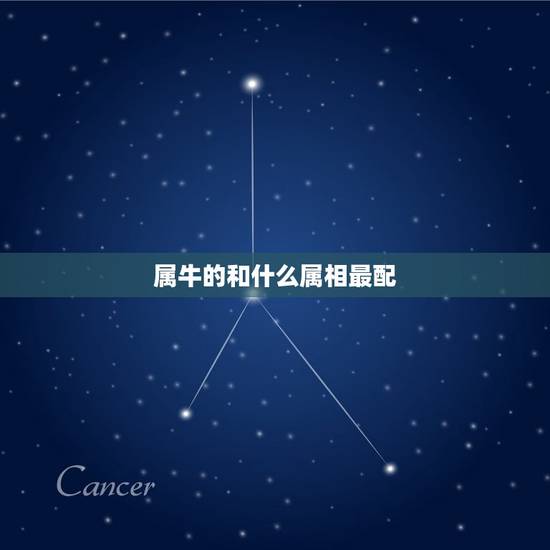 属牛的和什么属相最配，属牛和什么属相相配