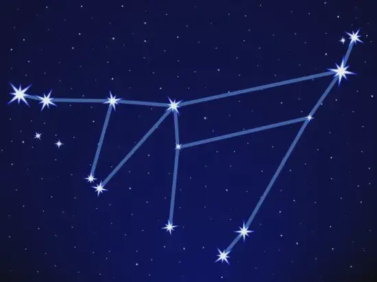 1973年牛在2025年运势，1973年属牛人全年运势