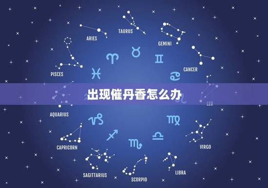 出现催丹香怎么办，崔丹香是啥意思