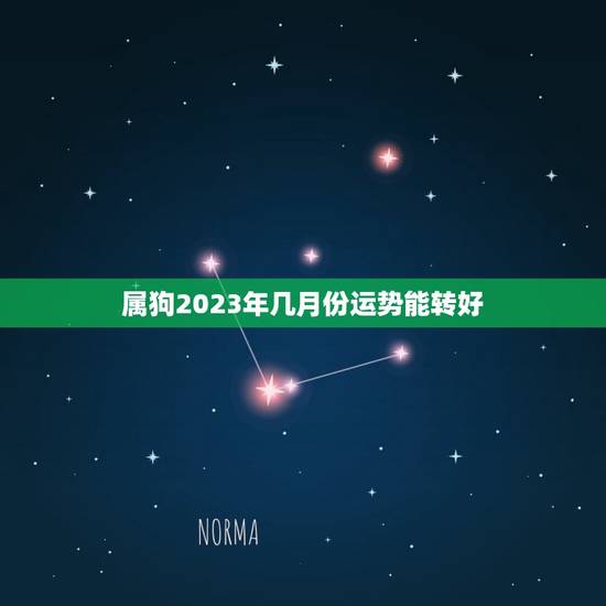 属狗2023年几月份运势能转好,生肖狗2023年运势大全 属狗2023年几月份运势能转好,生肖狗2023年运势大全