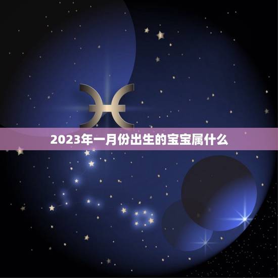 2023年一月份出生的宝宝属什么，2023年1月份出生的宝宝应该属什么