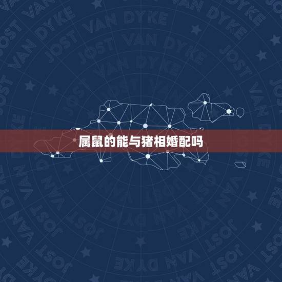 属鼠的能与猪相婚配吗，属猪男子与属鼠女子的婚配怎样？