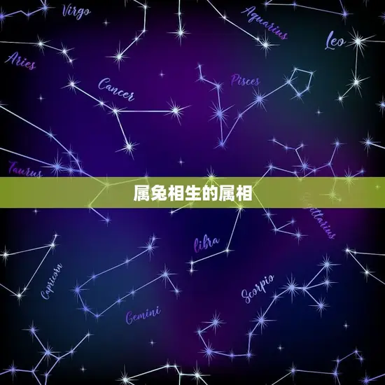 属兔相生的属相