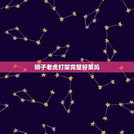 狮子老虎打架完整好莱坞，老虎打架