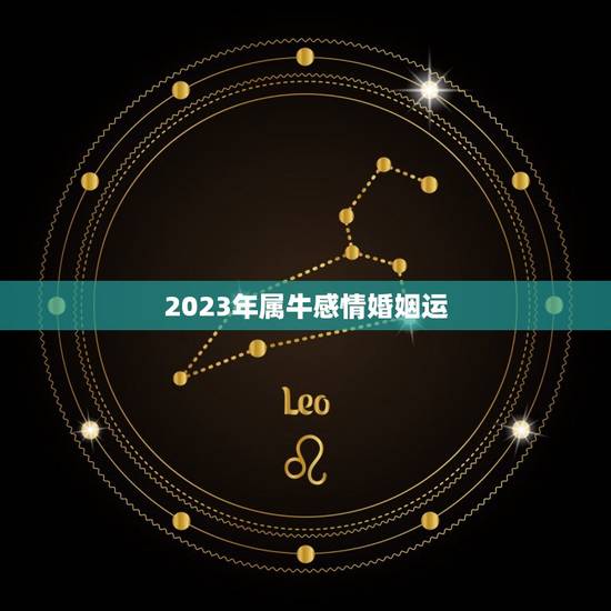 2023年属牛感情婚姻运，2023年属牛的全年运势怎么样